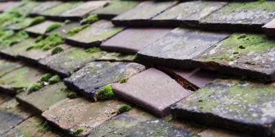 Llanfarian roof repair costs